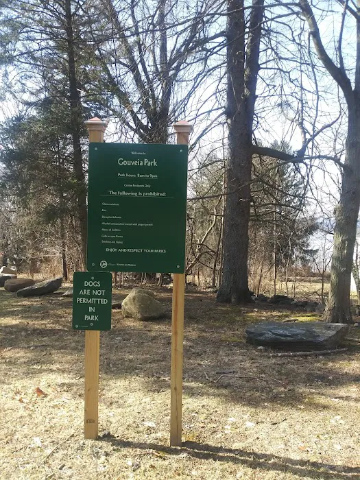 Gouveia Park Picture 9