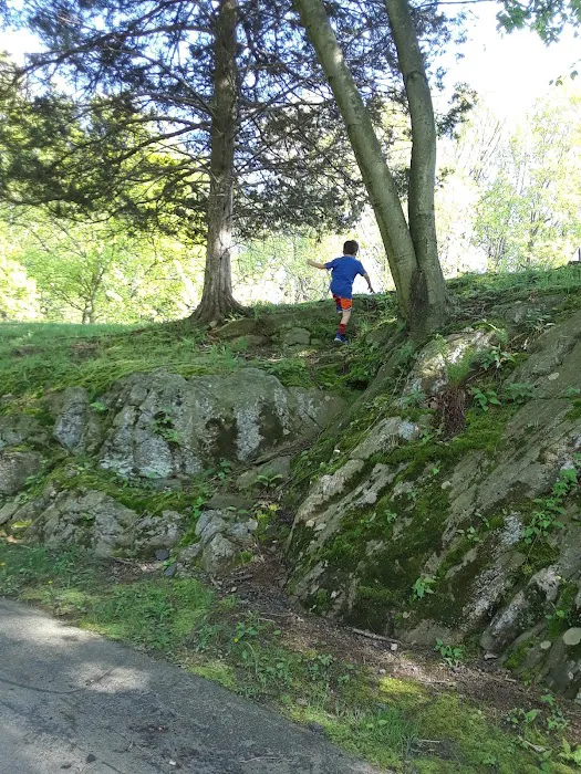 Gouveia Park Picture 5