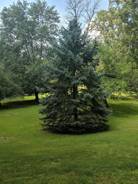 Gouveia Park Picture 1