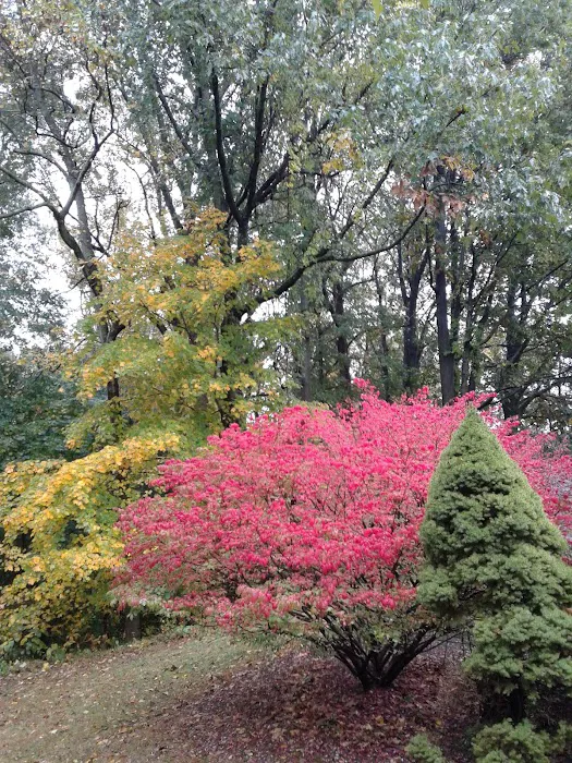Gouveia Park Picture 8
