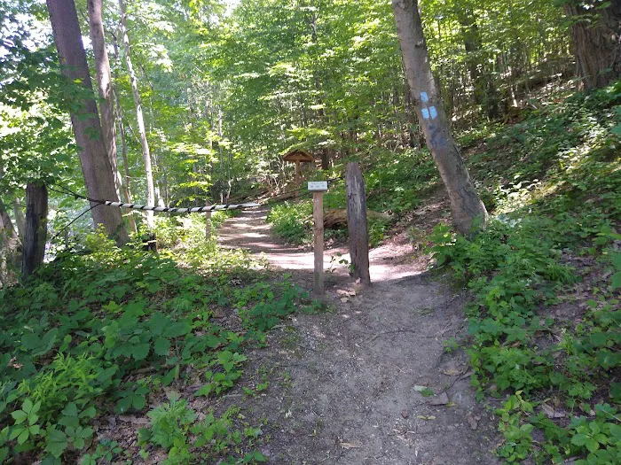 Oscawana Park Picture 7