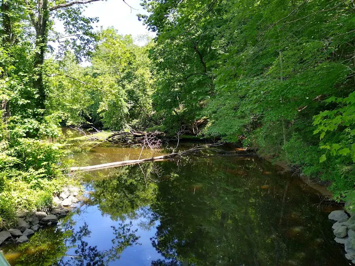 Oscawana Park Picture 8