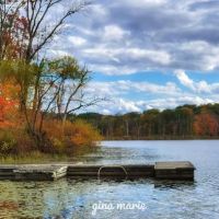 FDR State Park ico