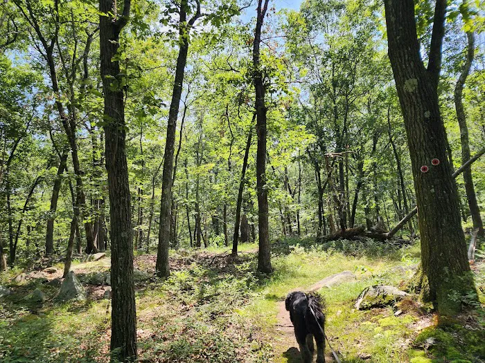Sylvan Glen Eastern Trail Head Picture 3
