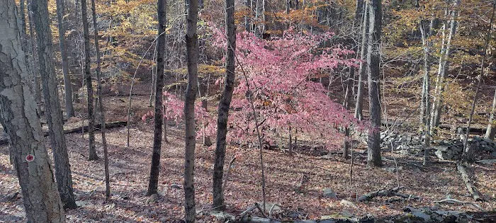 Sylvan Glen Eastern Trail Head Picture 4