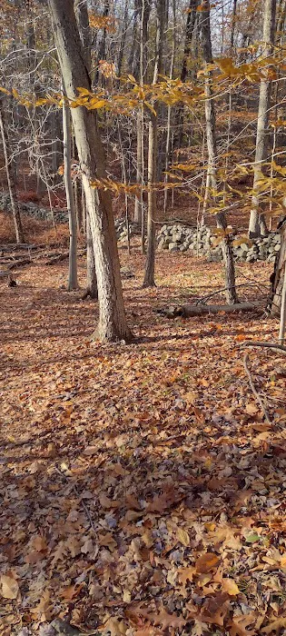 Sylvan Glen Eastern Trail Head Picture 8