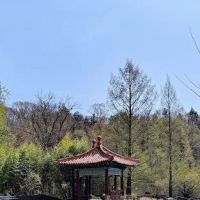 Mildred B Lasdon Sanctuary ico