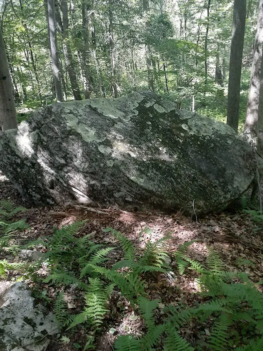 Eastwoods Preserve Picture 3