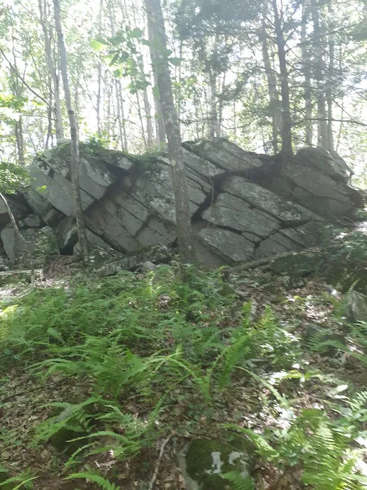 Eastwoods Preserve Picture 2
