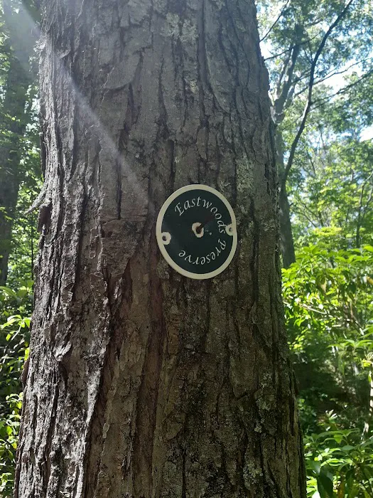 Eastwoods Preserve Picture 4