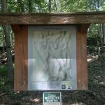 Eastwoods Preserve