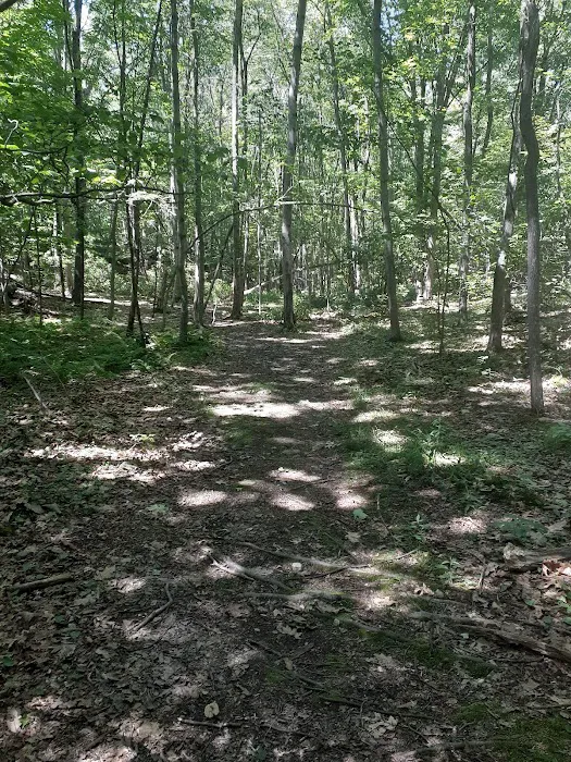 Eastwoods Preserve Picture 8