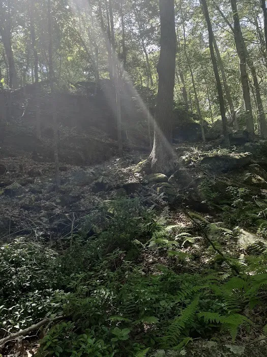 Eastwoods Preserve Picture 9