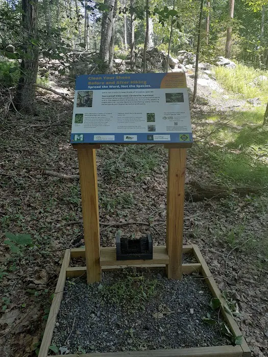 Eastwoods Preserve Picture 6