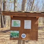 Old Church Lane Preserve