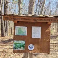 Old Church Lane Preserve ico