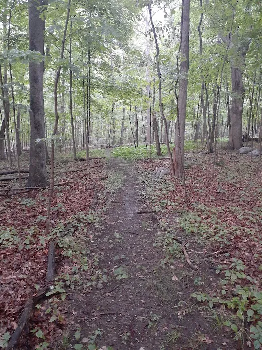 St. Paul’s Chapel Trail Picture 4