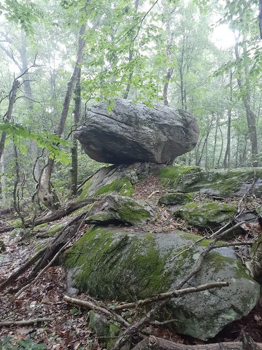 St. Paul’s Chapel Trail Picture 10