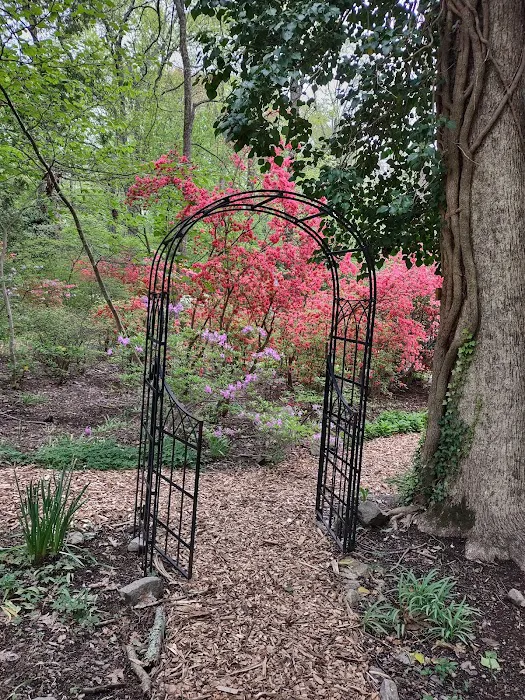 Olive and George Lee Memorial Garden Picture 6