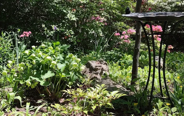 Olive and George Lee Memorial Garden Picture 1