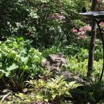 Olive and George Lee Memorial Garden