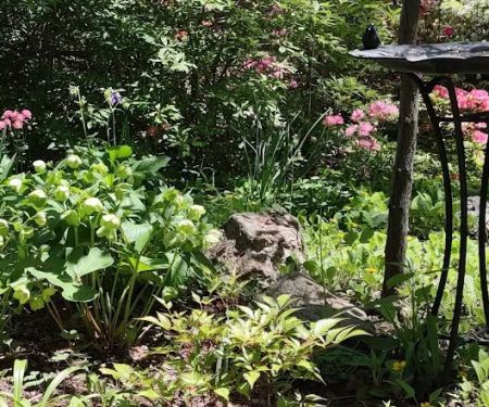 Olive and George Lee Memorial Garden