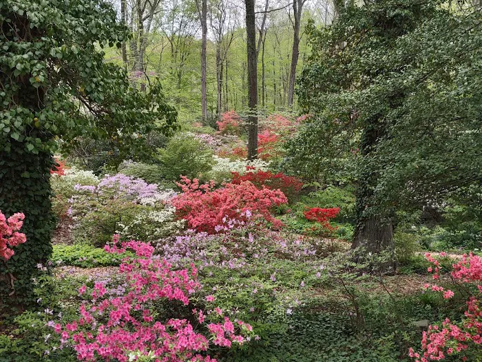 Olive and George Lee Memorial Garden Picture 4