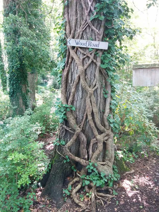 Olive and George Lee Memorial Garden Picture 9