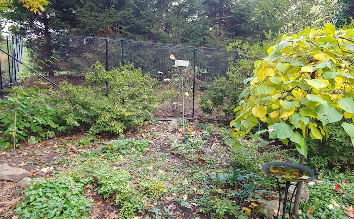 Olive and George Lee Memorial Garden Picture 10