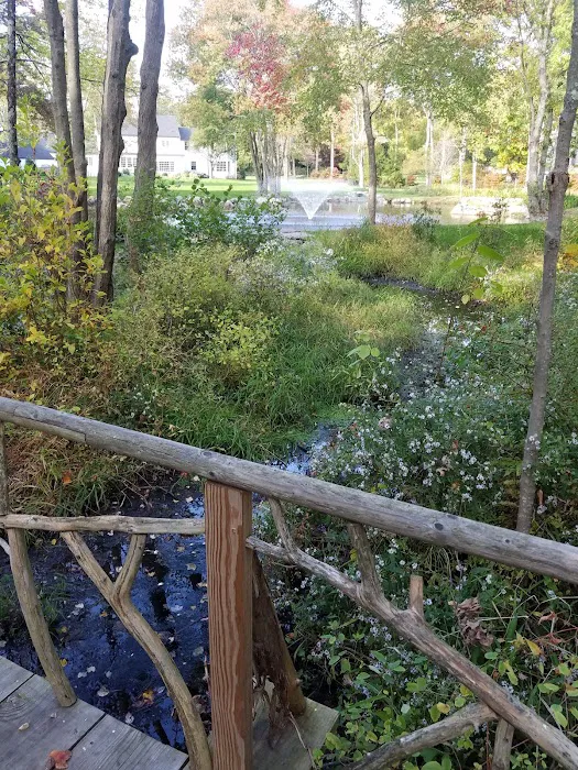 GreenLink Connector Trail (NCLT) Picture 1