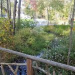 GreenLink Connector Trail (NCLT)