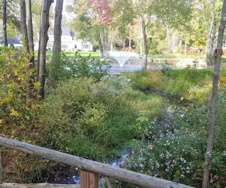 GreenLink Connector Trail (NCLT)