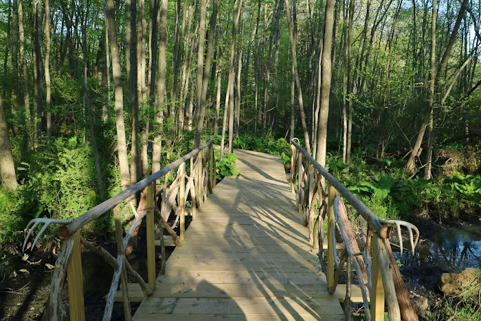 GreenLink Connector Trail (NCLT) Picture 5
