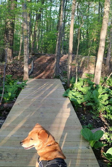 GreenLink Connector Trail (NCLT) Picture 3