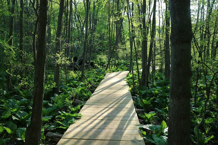 GreenLink Connector Trail (NCLT) Picture 2