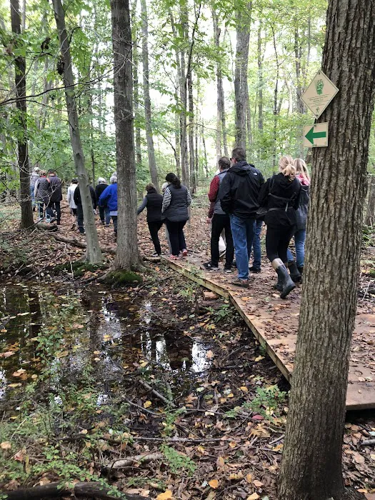 GreenLink Connector Trail (NCLT) Picture 4