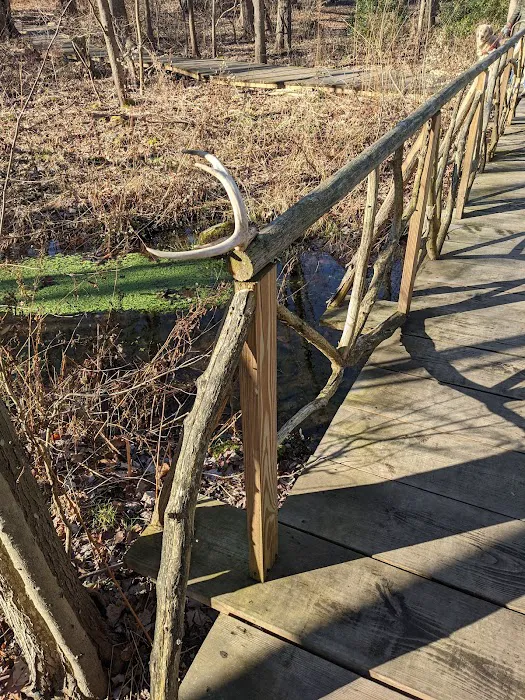 GreenLink Connector Trail (NCLT) Picture 7
