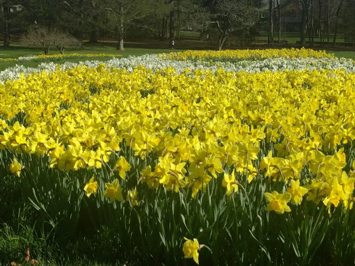 Irwin Park Picture 3