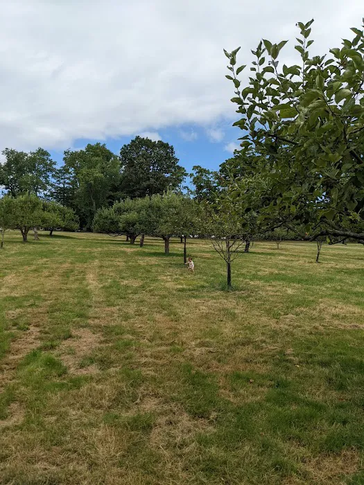 Irwin Park Picture 7