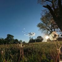 Irwin Park ico