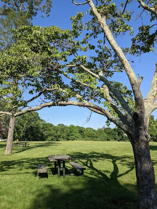 Irwin Park Picture 10
