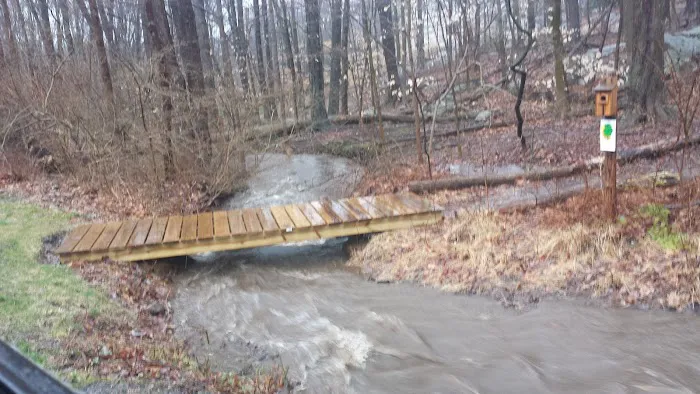 New Canaan Land Trust Trail Picture 1