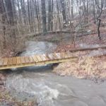 New Canaan Land Trust Trail