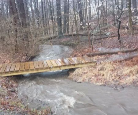 New Canaan Land Trust Trail