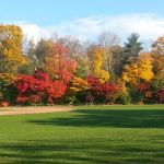 Mead Memorial Park