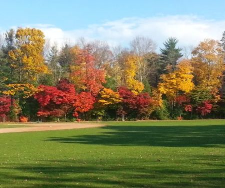 Mead Memorial Park