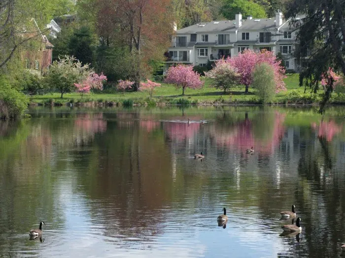 Mead Memorial Park Picture 8