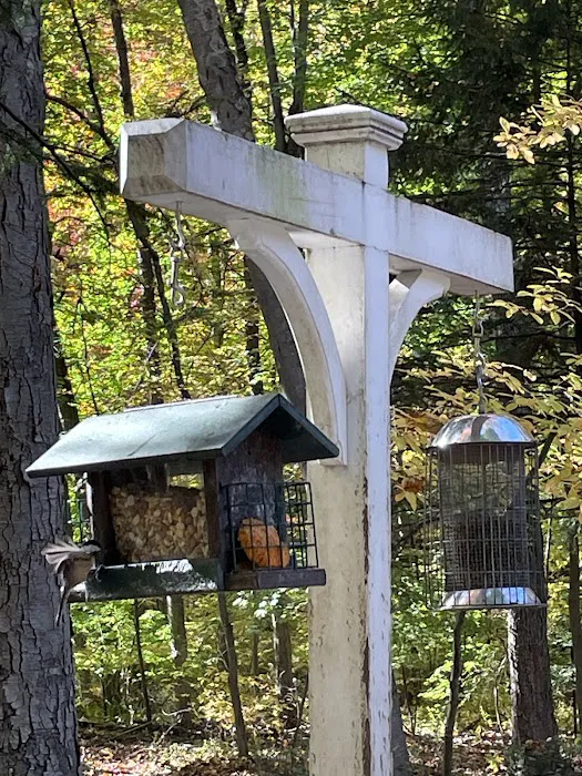 Bristow Sanctuary & Wildwood Preserve Picture 4