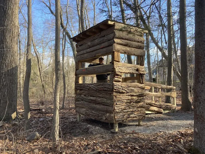 Bristow Sanctuary & Wildwood Preserve Picture 10