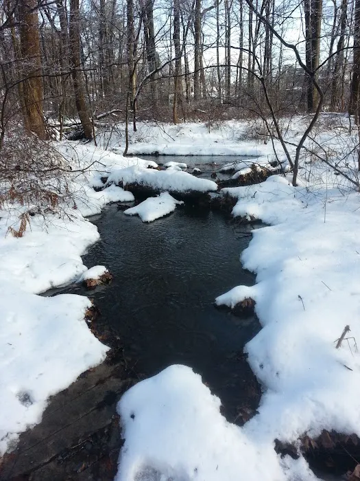 Bristow Sanctuary & Wildwood Preserve Picture 8